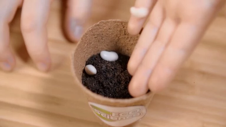 Science4You - Green Science - Image 4